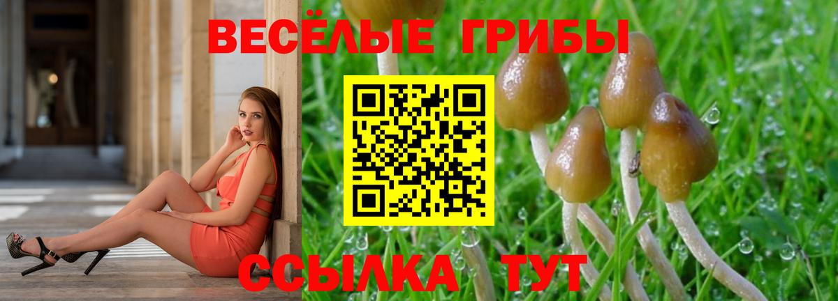 Галлюциногенные грибы Psilocybe  Вход с VPN  Псилоцибиновые грибы ЛСД  Петровск 